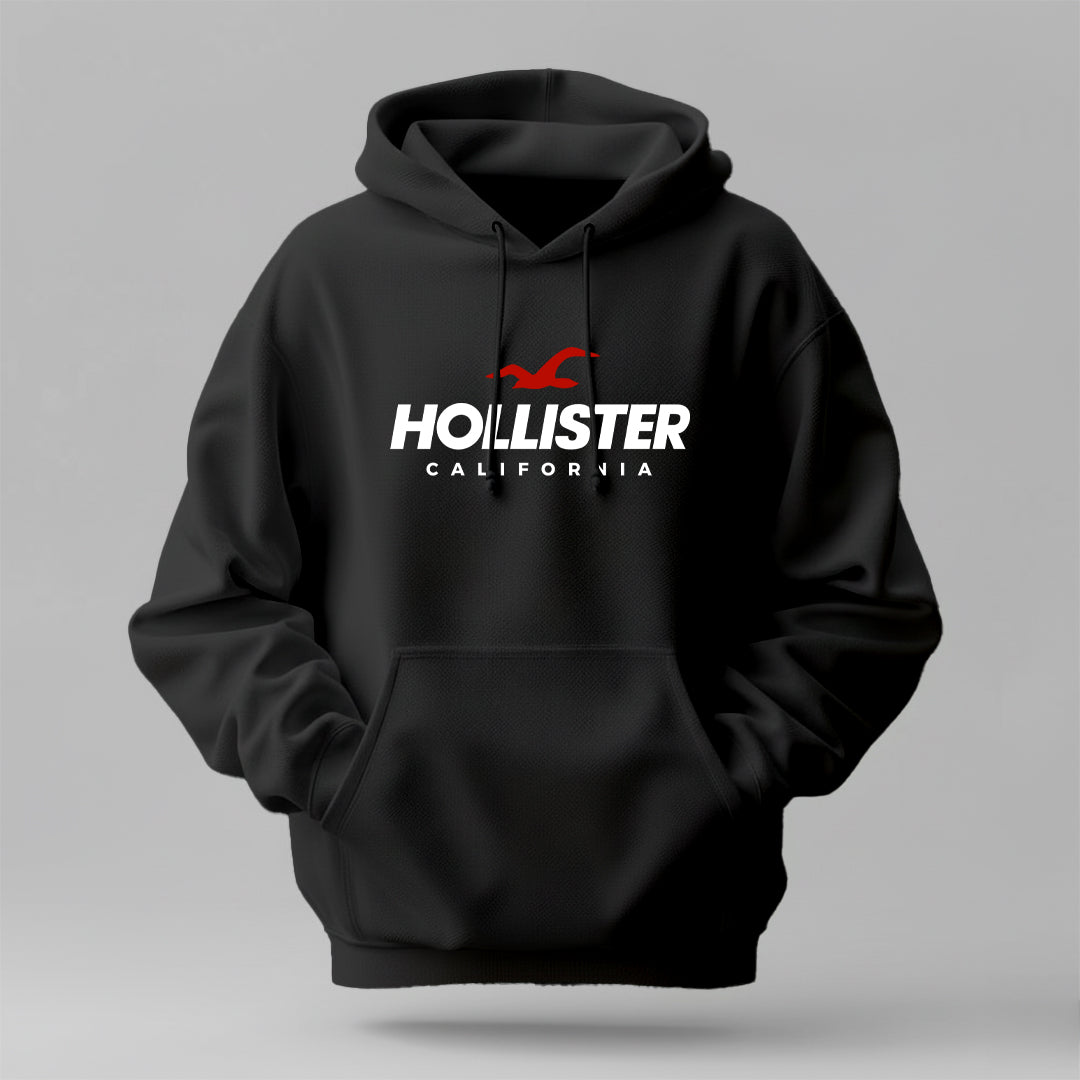 Hollister- Winter Regular Fit Hoodie