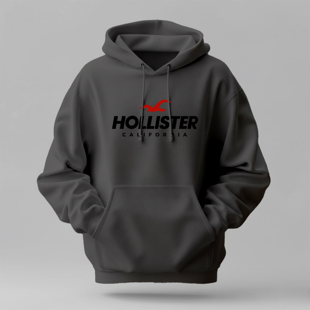Hollister- Winter Regular Fit Hoodie