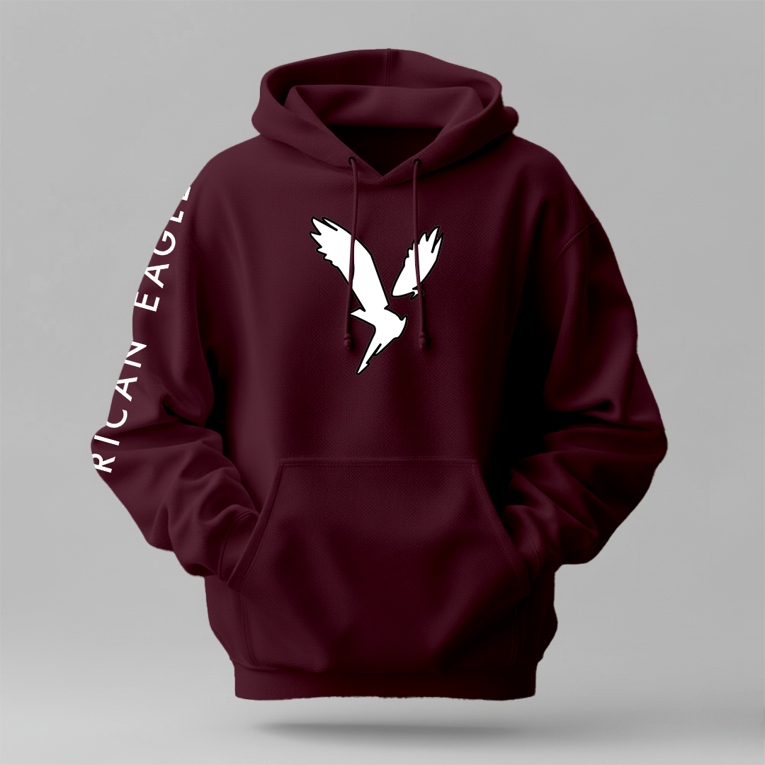 American Eagle - Winter Regular Fit Hoodie