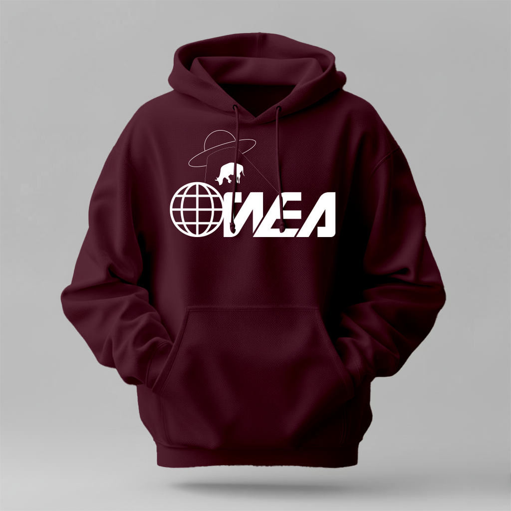 Luxury Winter Regular Fit Hoodie for Modern Youth Style