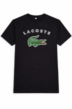 Lacoste men's t-shirts