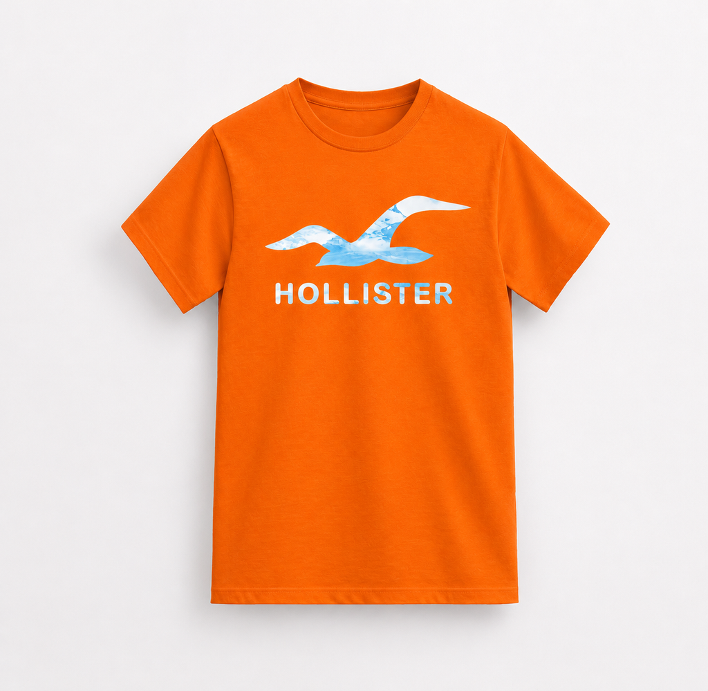 Hollister big logo T-Shirts