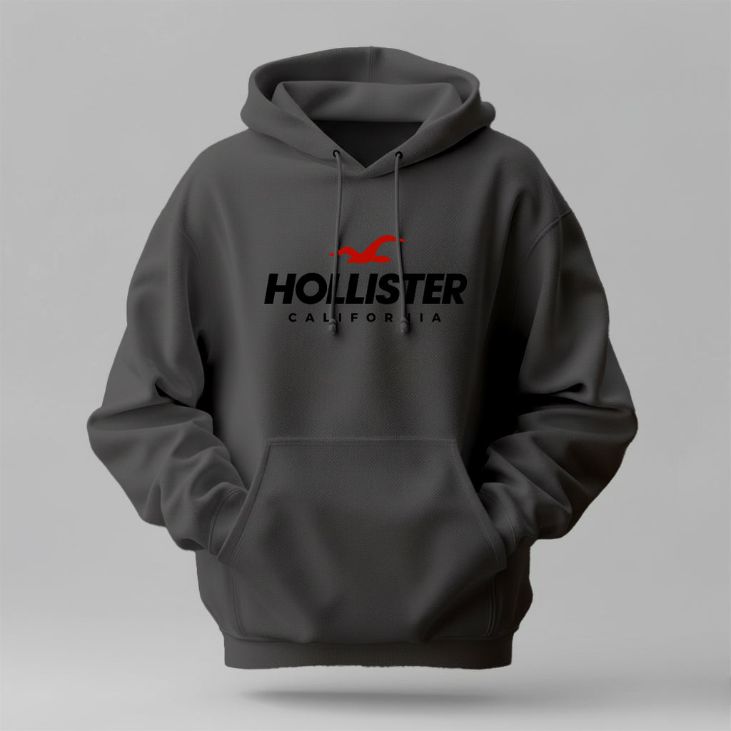 Hollister- Winter Regular Fit Hoodie