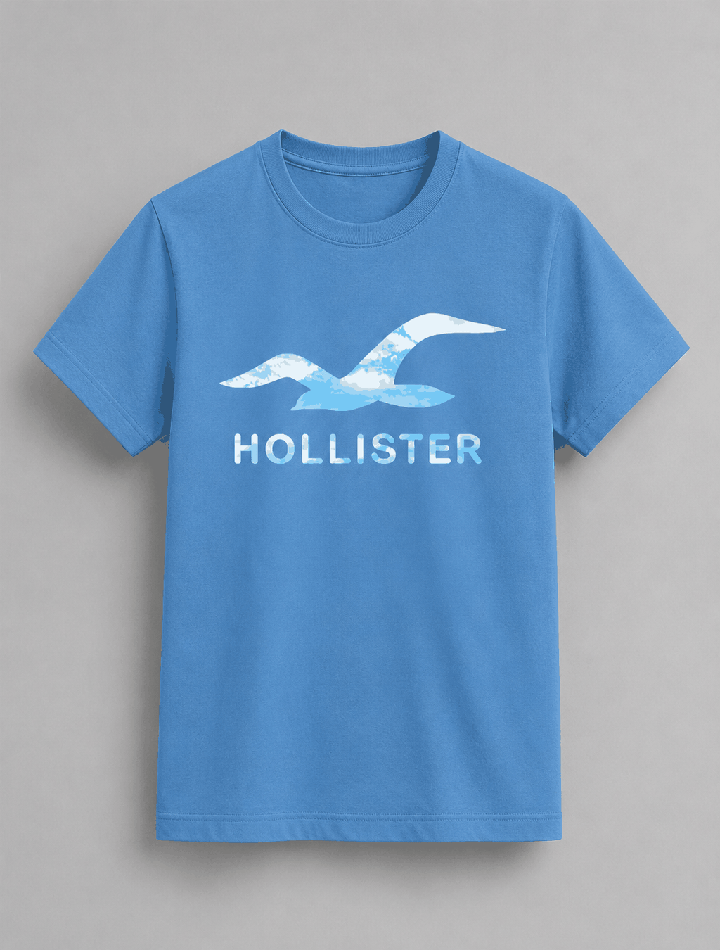 Blue cotton Hollister big logo T-Shirts with a large white and sky-blue seagull graphic and Hollister text